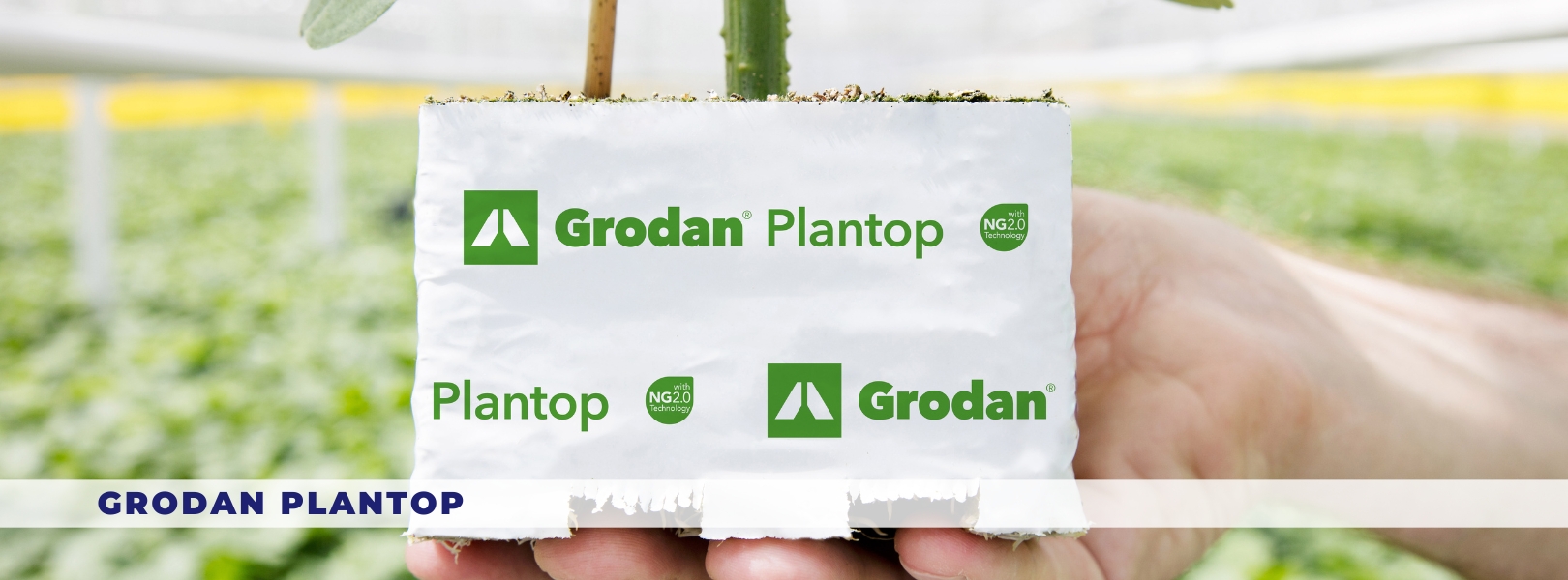 Grodan Plantop